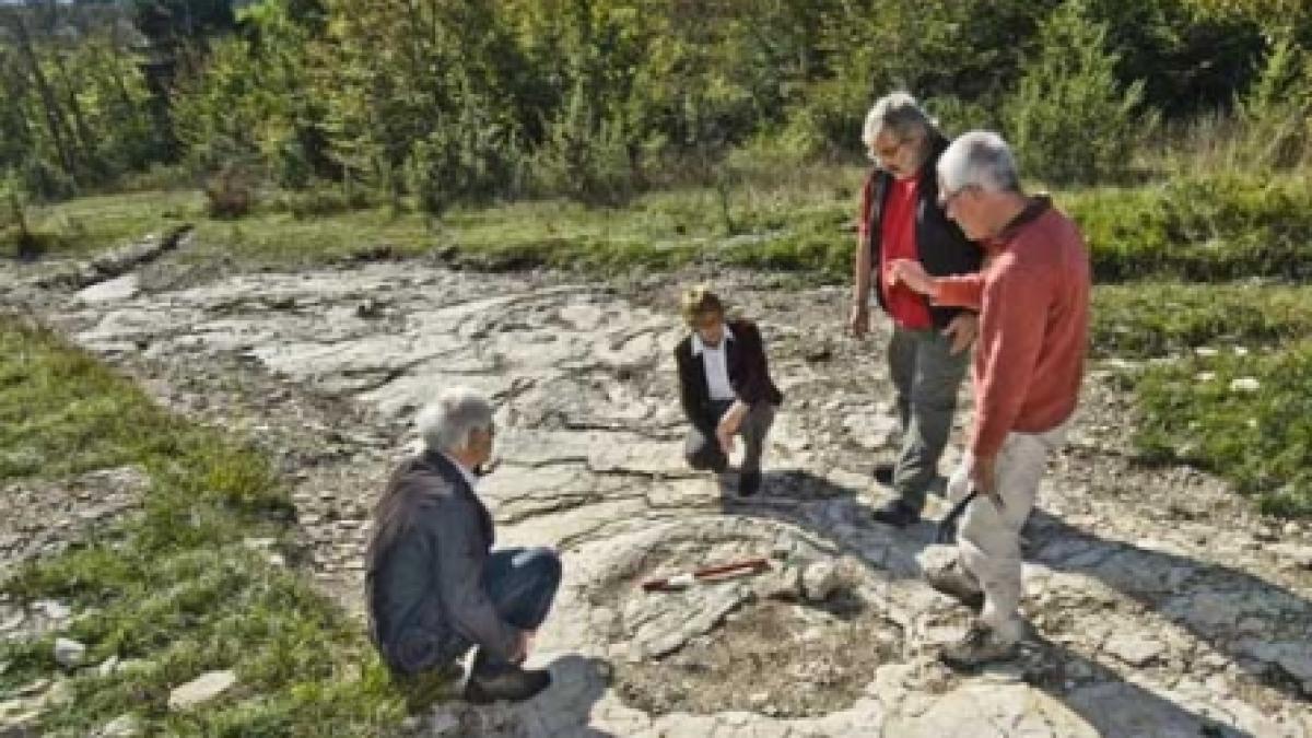 Amprente rare, vechi de 150 de milioane de ani