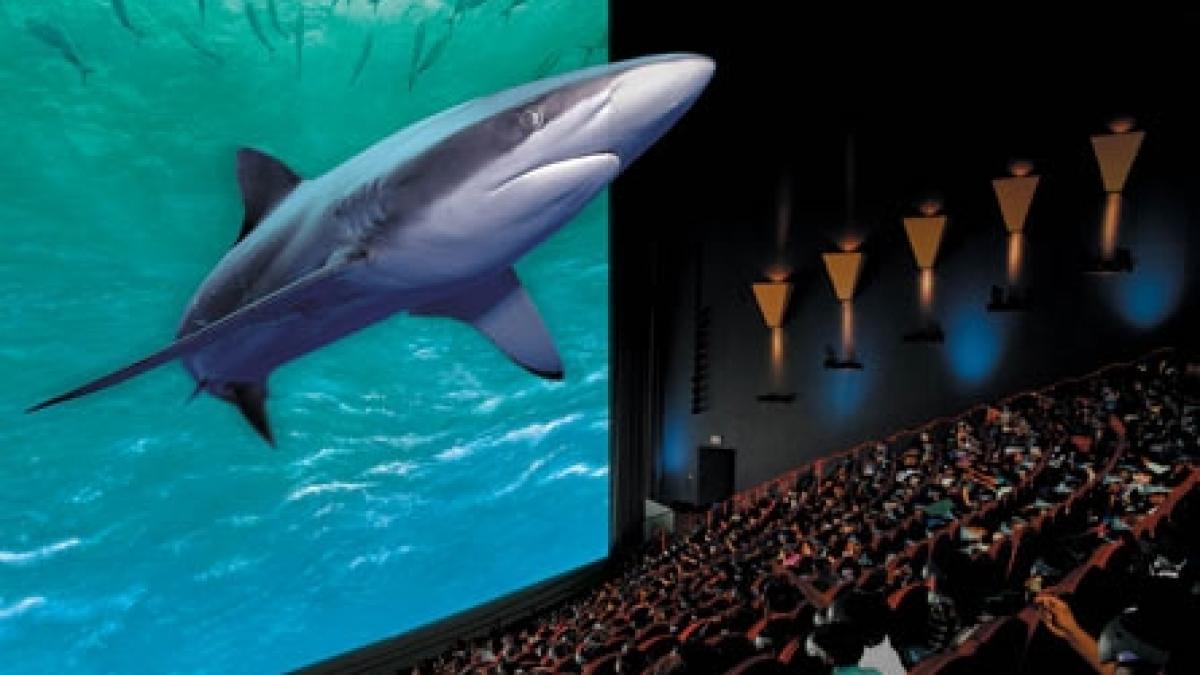 Cinema... de senzaţie