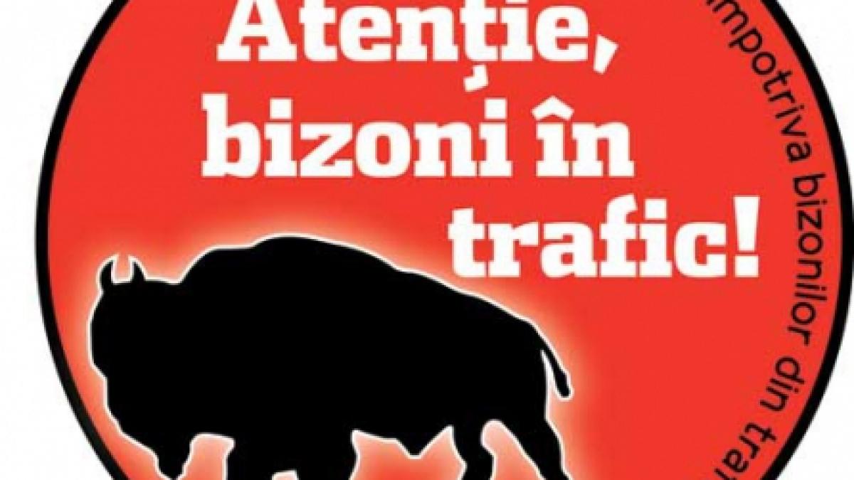 Duios bizonul trecea. Bizonii s-au intors! Editia a doua, faza pe tara