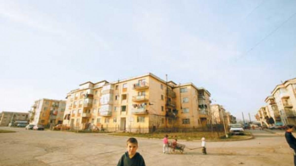 Proprietari, ataşaţi de casă şi neduşi în lume