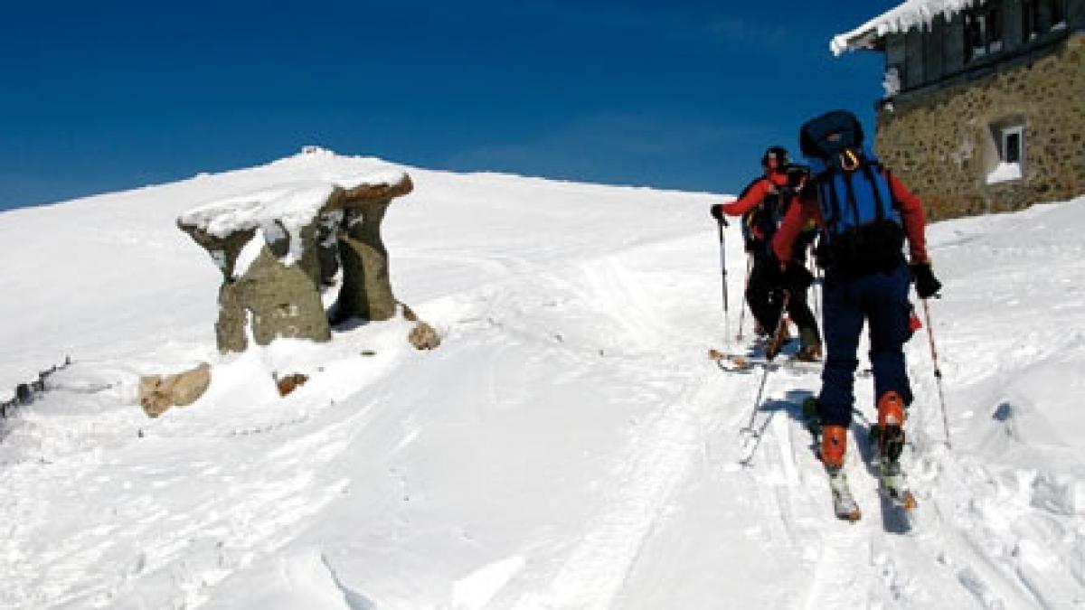 Bucegi
