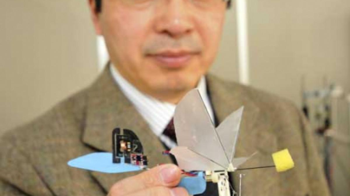 Robot-colibri