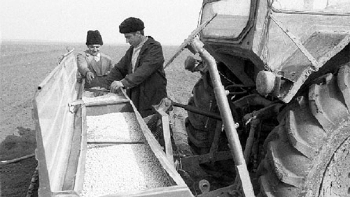 Agricultura lui '89, între scenarii şi realitate