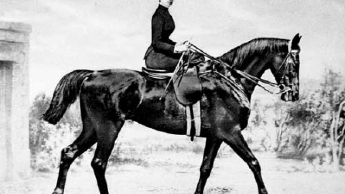 Aristocraţie şi recunoştinţă
