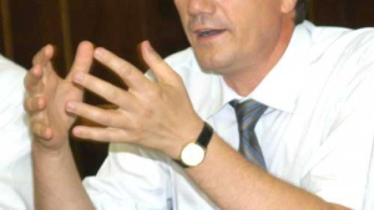 Guvernul dă undă verde companiilor energetice