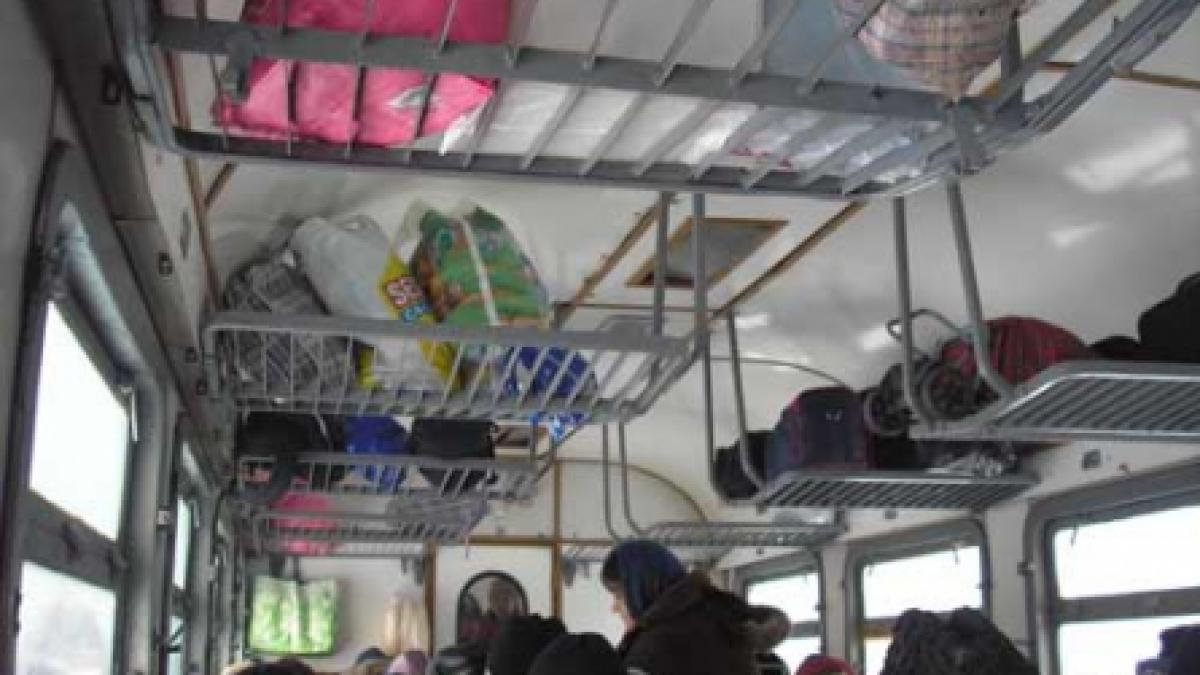 De 50 de bani manele şi şobolani