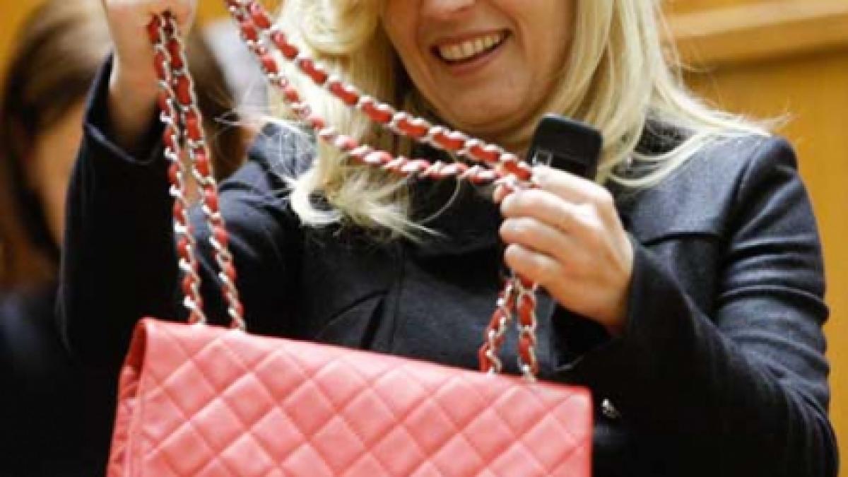 Udrea vrea să cheltuiască 40 de milioane de euro pe studii