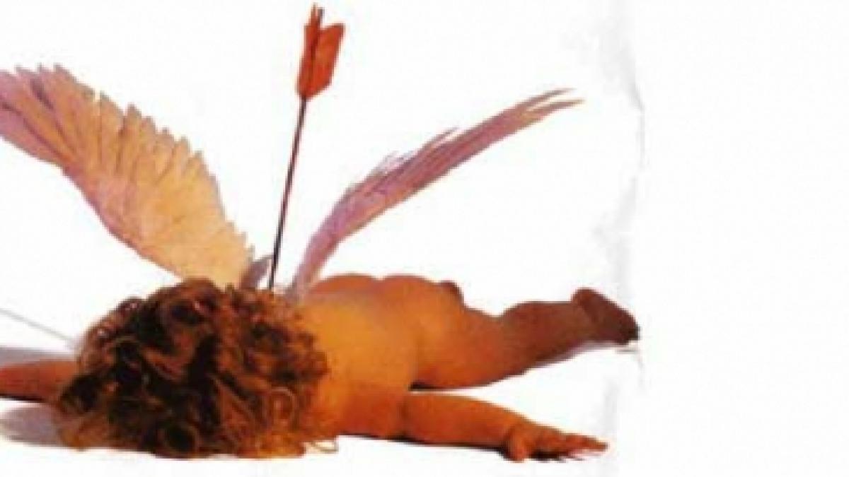 Valentine’s Day-ul lui pisi