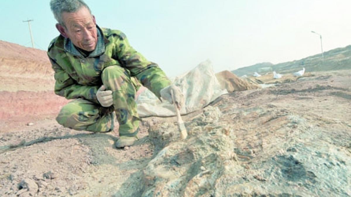 "Oraşul dinozaurilor", un Disneyland în devenire