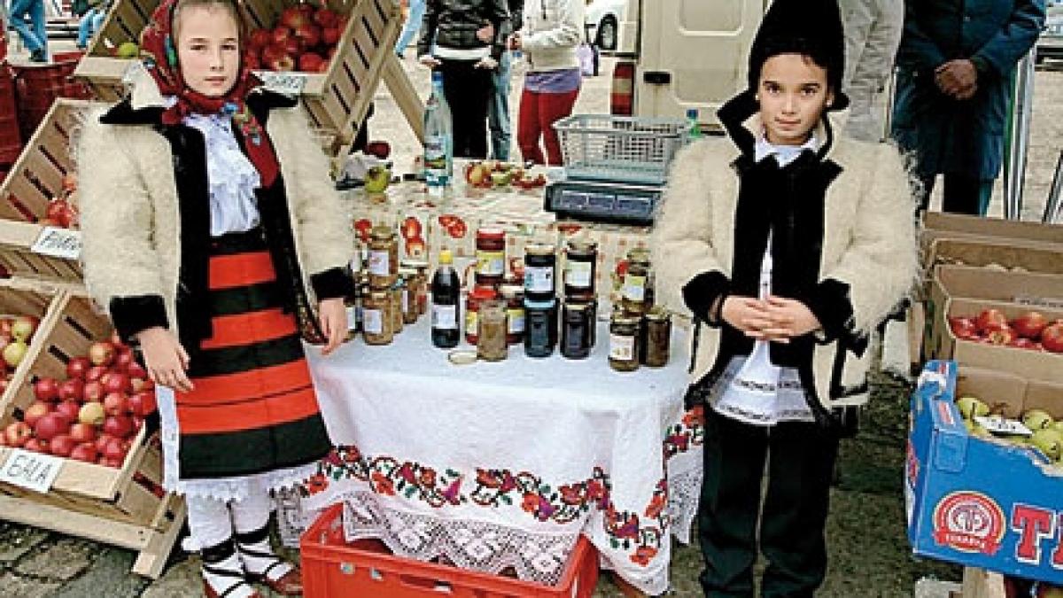 Proiect pentru salvarea satului maramureşean