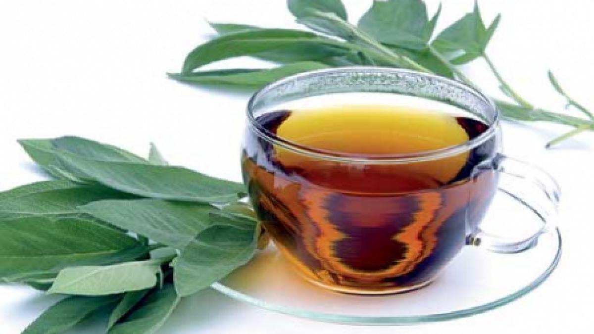 Salvia îţi promite că te îngraşi