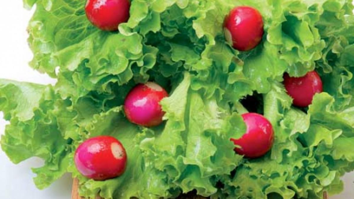 Ridichea şi salata verde
