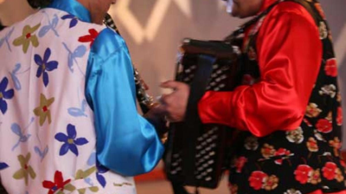  Gipsy, da, manele, ba!