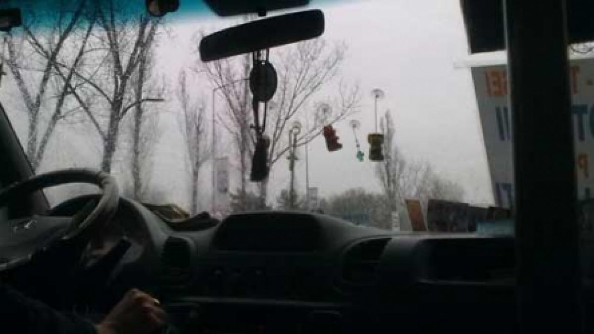 Şoferul de maxi-taxi, şef pe duba mă-sii!