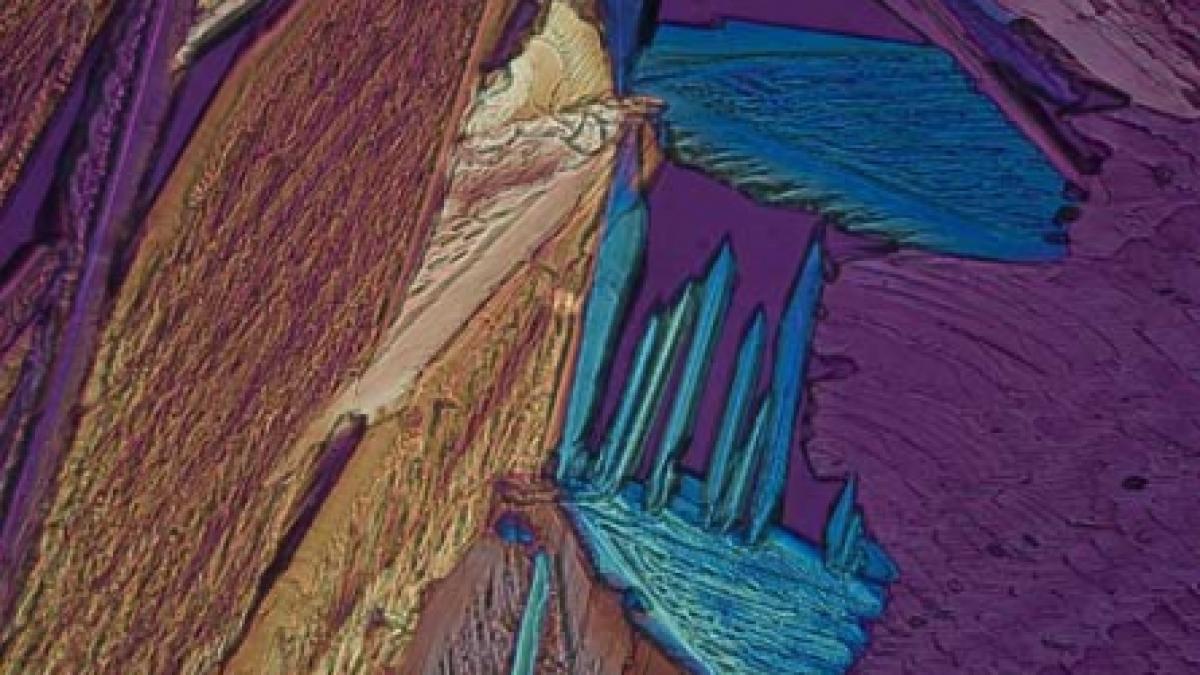 Decoraţiuni unice cu fotografii la microscop
