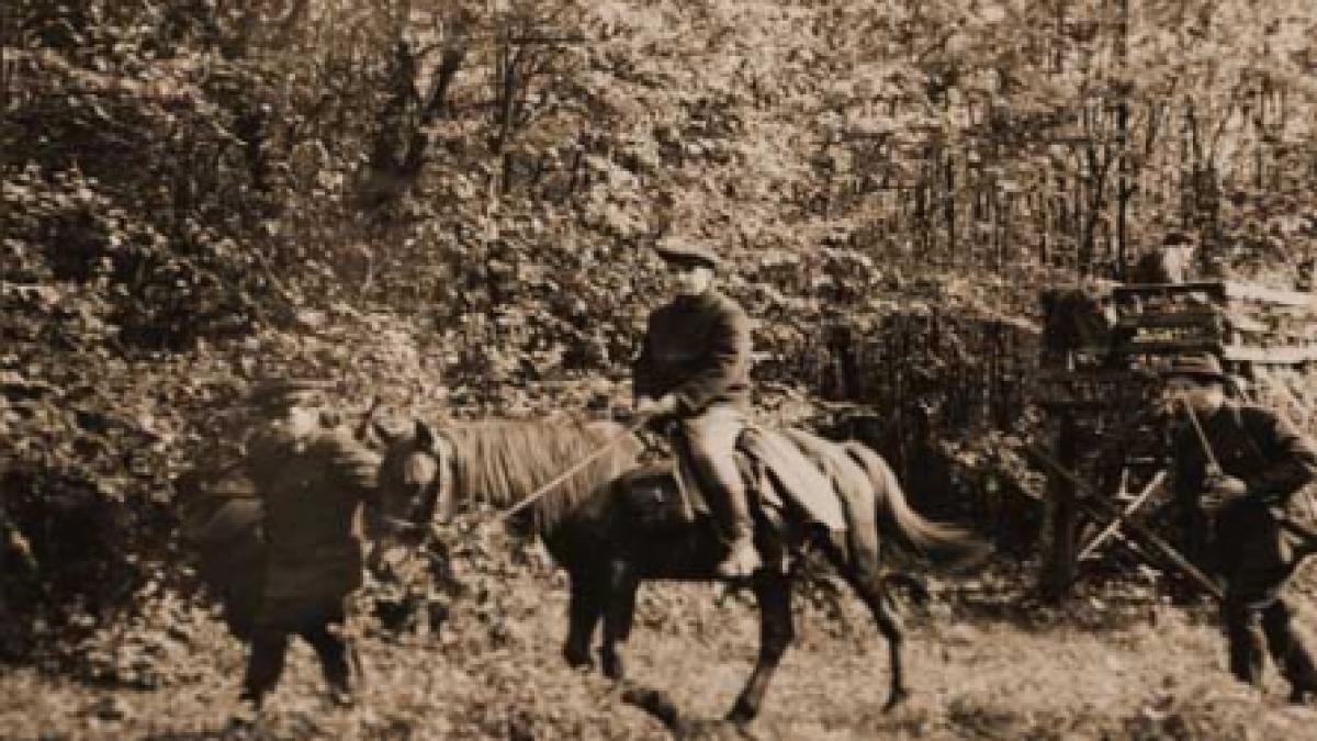 "Lui Ceauşescu îi era frică să nu afle Dej de vânători"