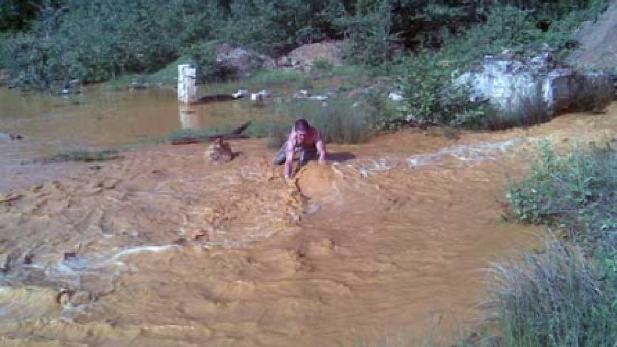 Accident ecologic în Maramureş
