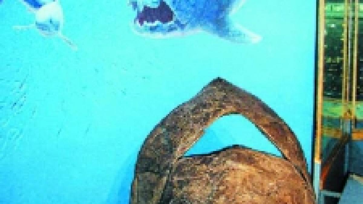 Peştii care au lăsat omul în viaţă