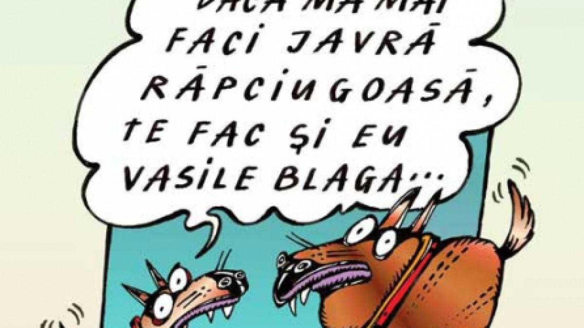 Băsescu-Blaga: Box!