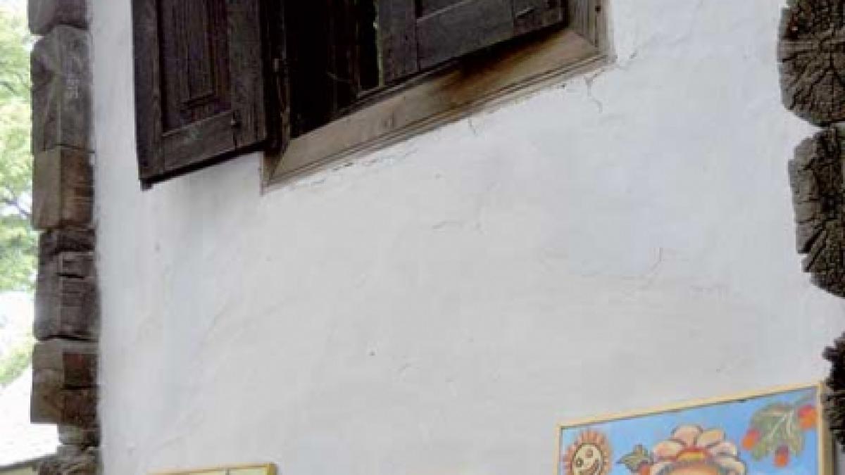 Drumeţ pe uliţa "Pictor Ioan Măric"