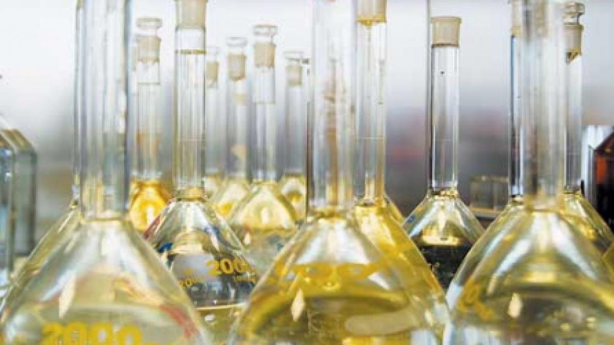 Brunch cu produse biodinamice