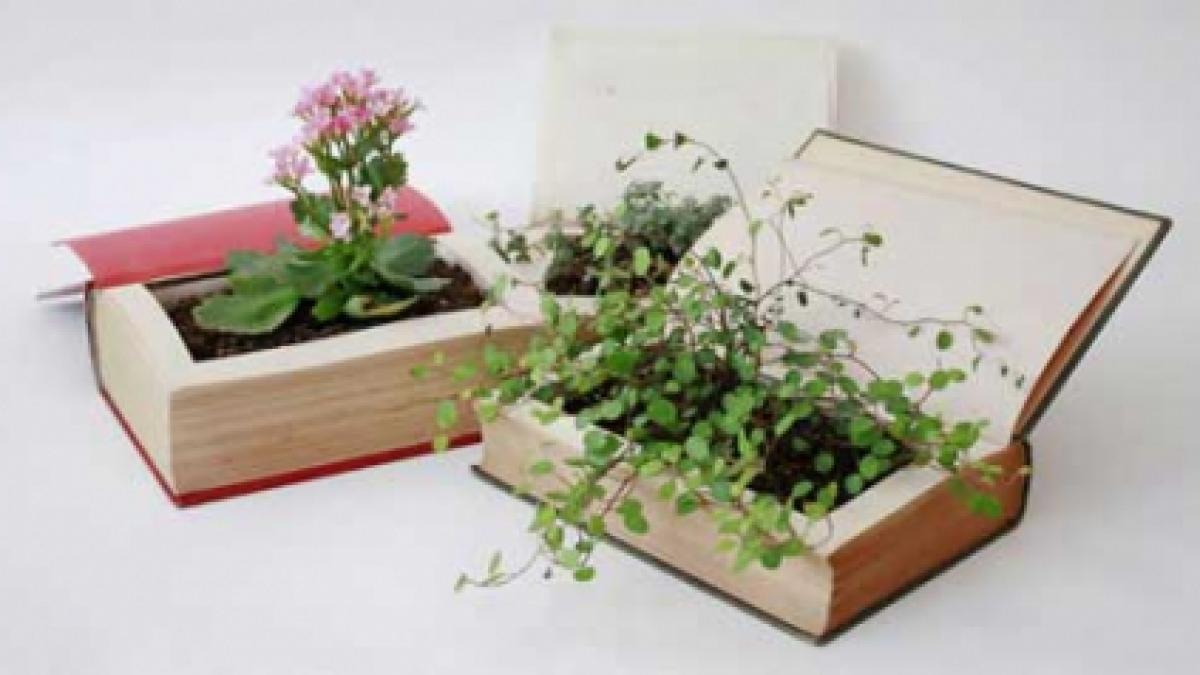 Mobilier ecologic până în cele mai mici detalii