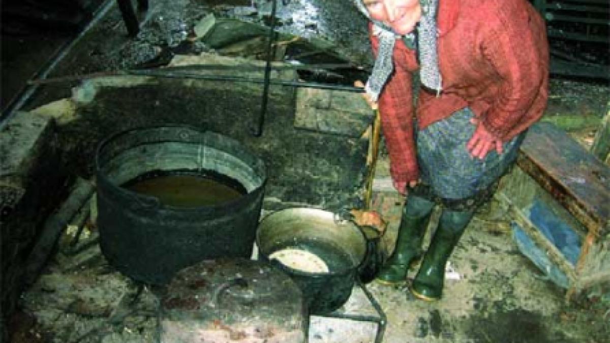 Bucate tradiţionale din Lunca Dunării