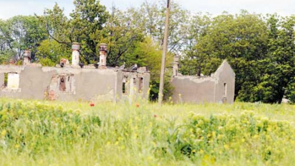 Stăpânul plajelor sălbatice