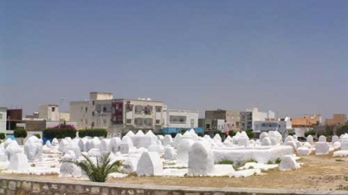 Oazele Tunisiei