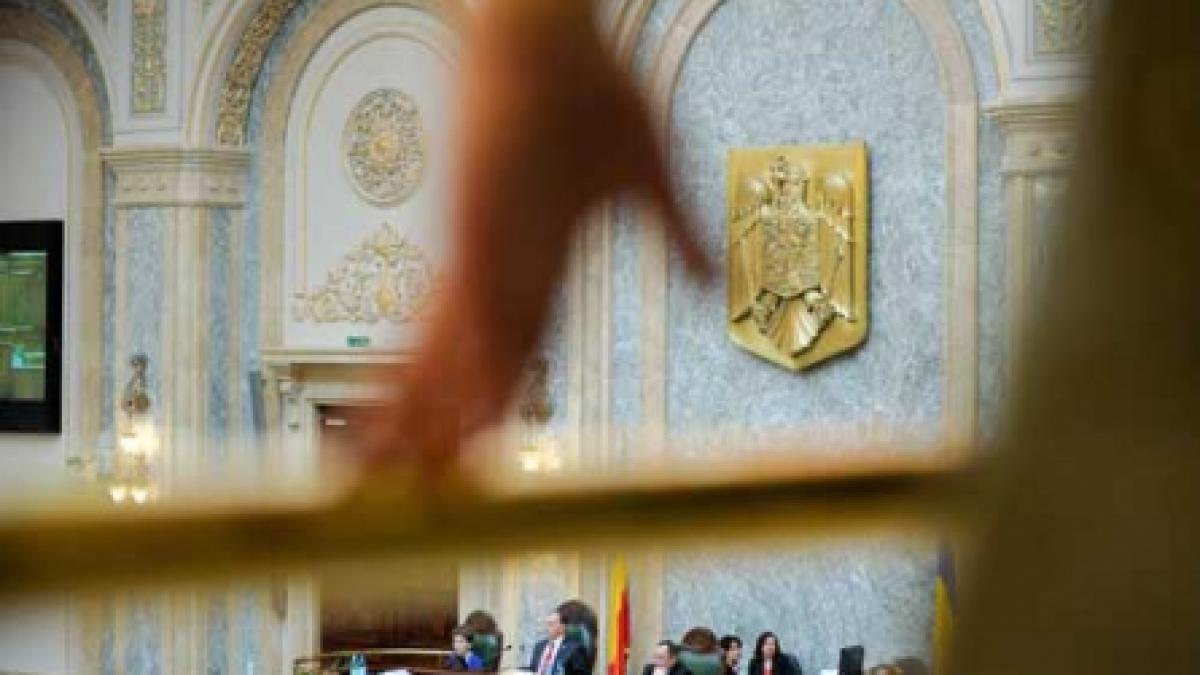 Opoziţia vrea reducerea TVA la alimentele de bază