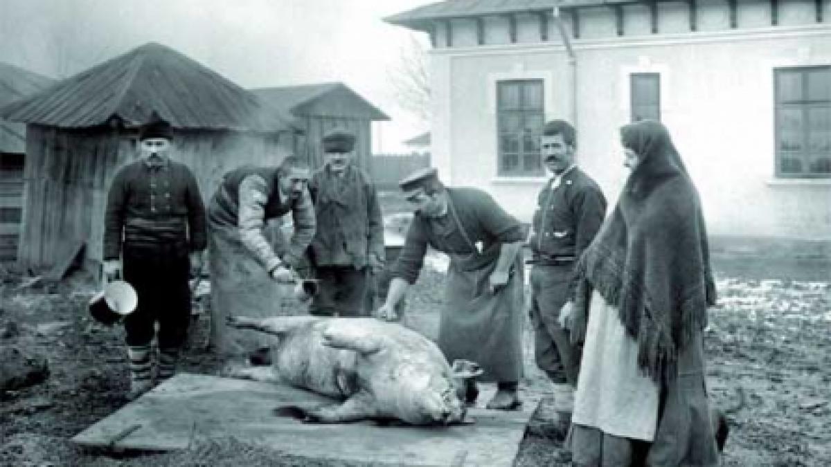 Povestea porcului