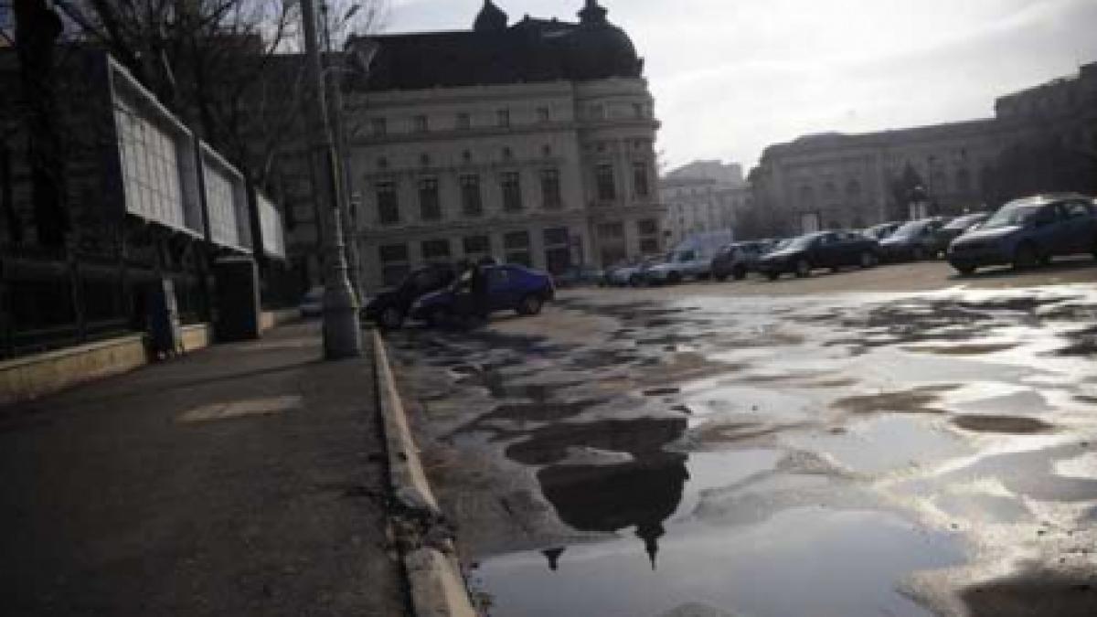 Masonii de la Rotary Club se puneau "în serviciul" României