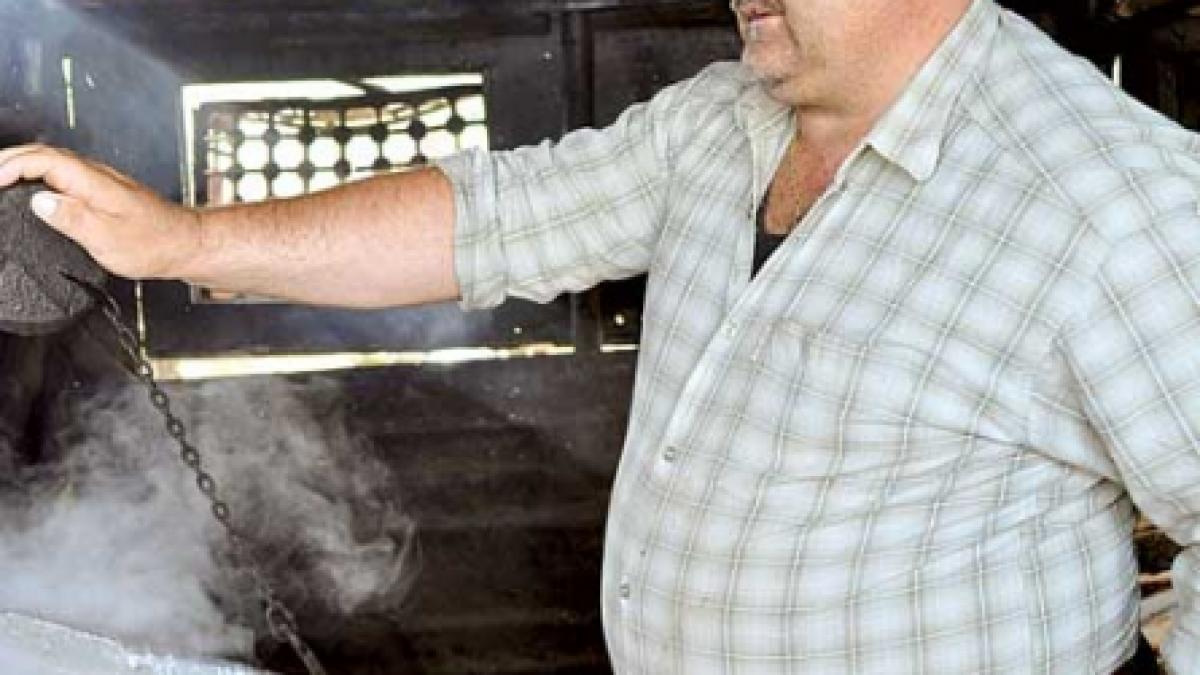 Mioarele fermecate ale baciului Ion Istrate