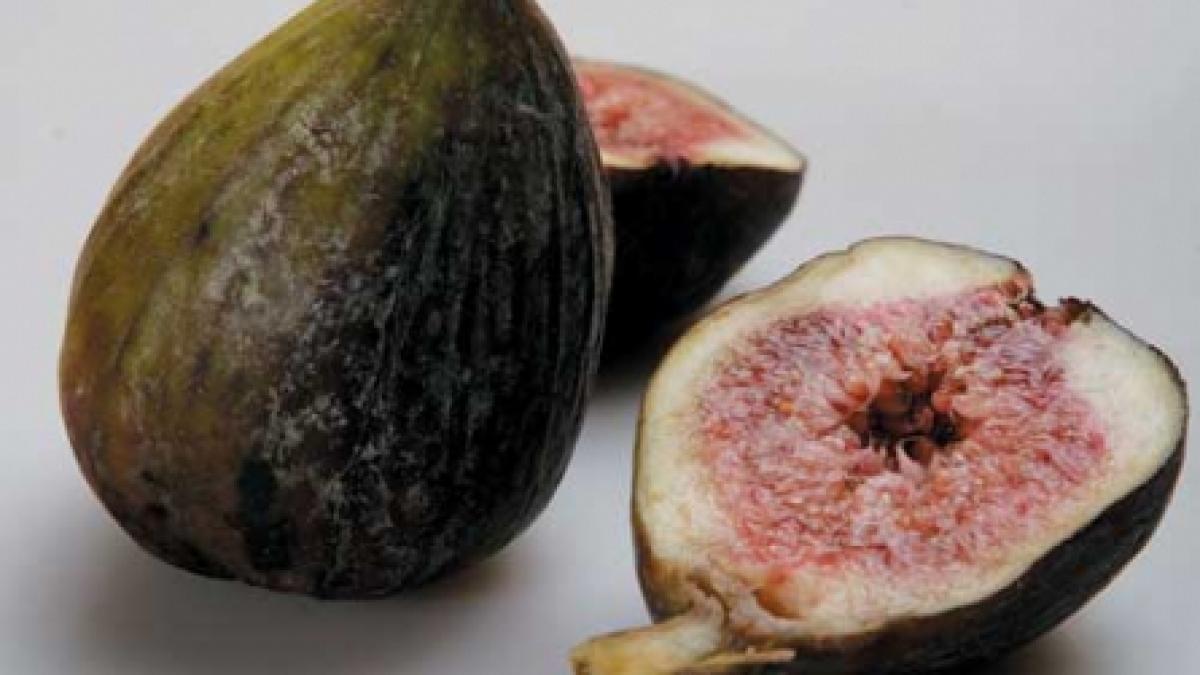 Fructe desăvârşite de timp