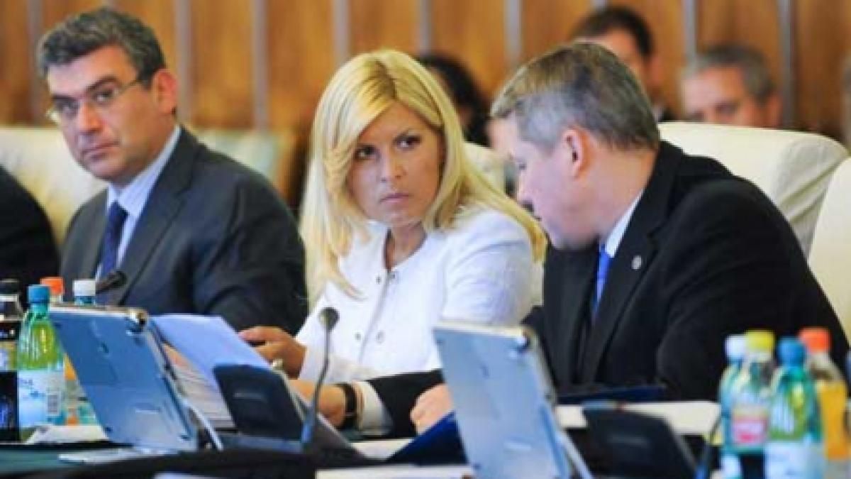 Elena Udrea - Clamari Trading SRL, trei contracte cu statul 