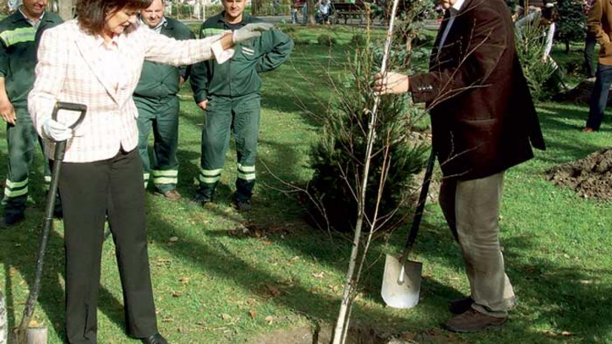 Un cadou verde de la ambasadori