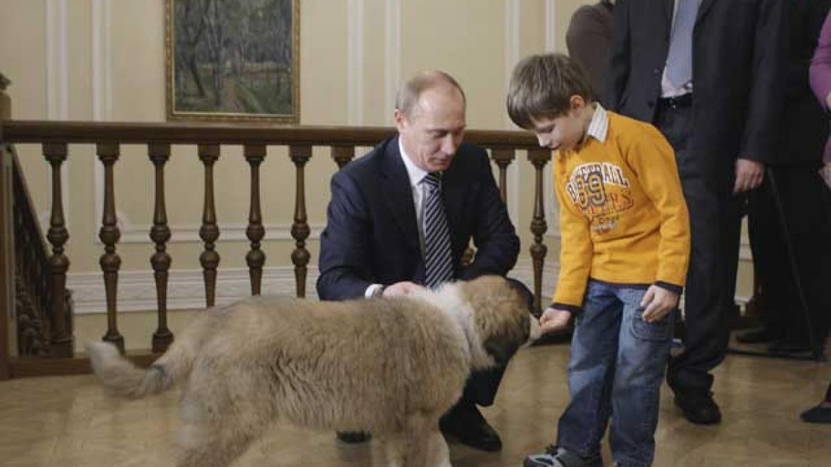 "Buffy", căţelul lui Putin