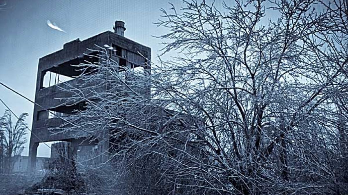 Cum mi-am petrecut „ziua naţională”