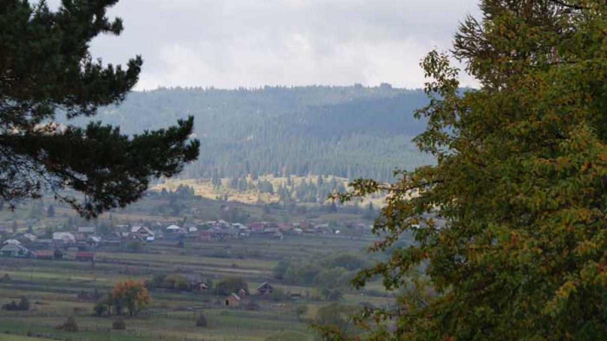 Apele minerale sfidează criza