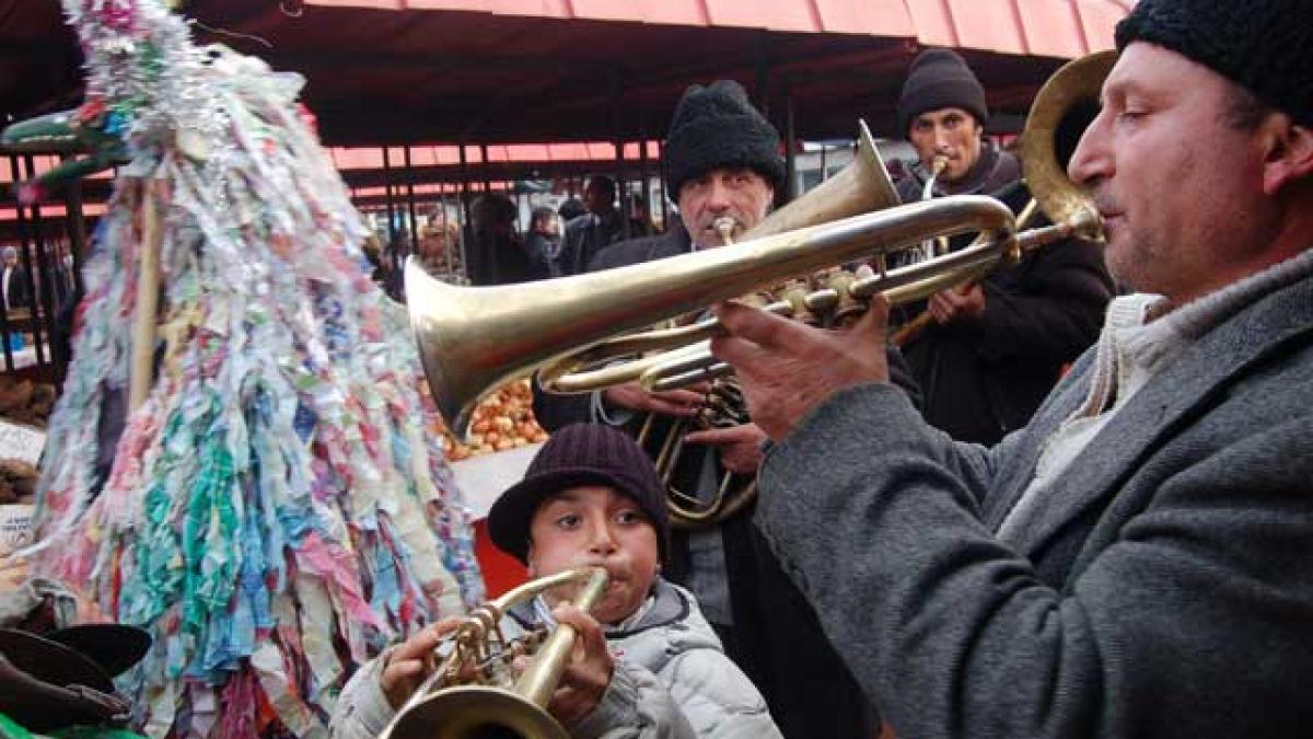 Capra se joacă pe morcovi şi castraveţi muraţi
