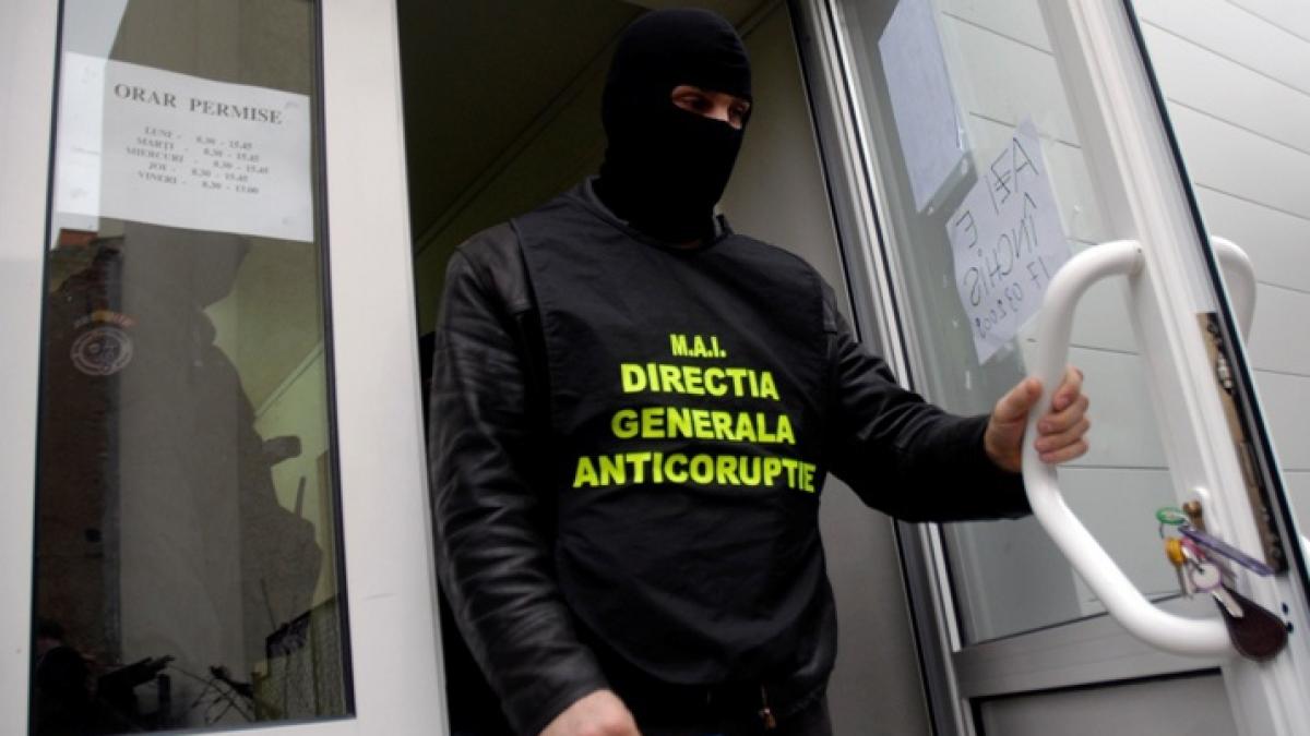 Afaceri cu permise auto
