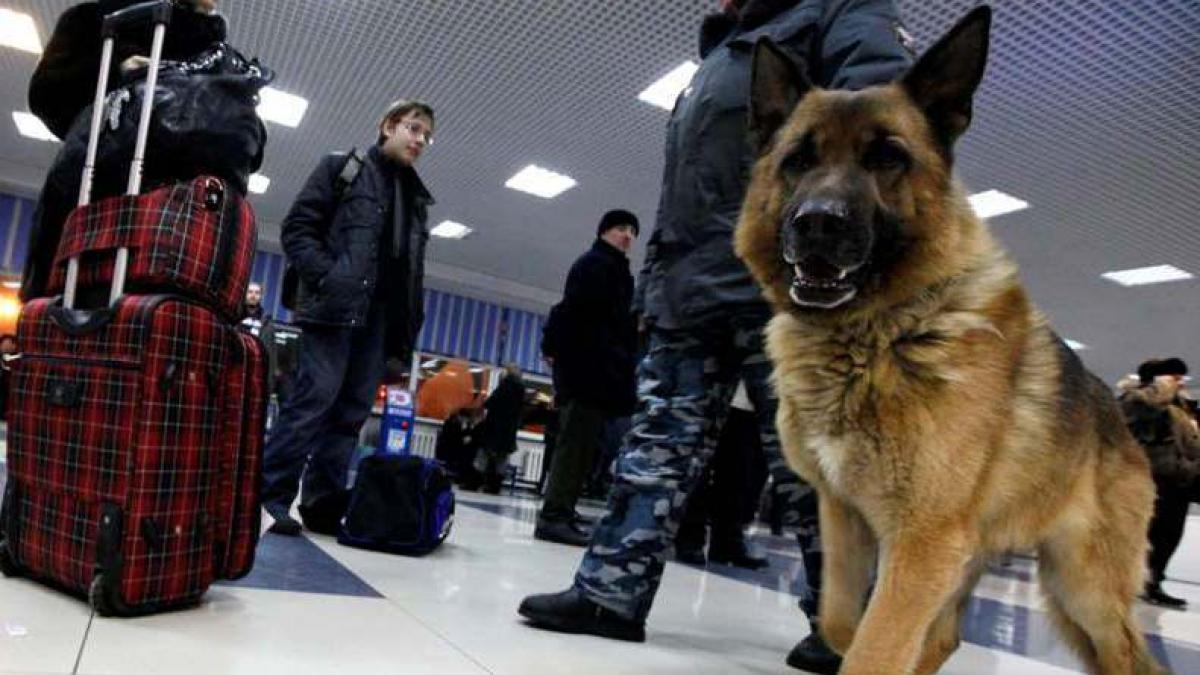 Zece suspecţi în cazul atentatului de pe aeroportul Domodedovo