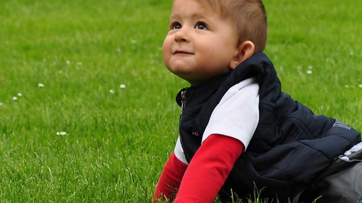 Demisia parentală