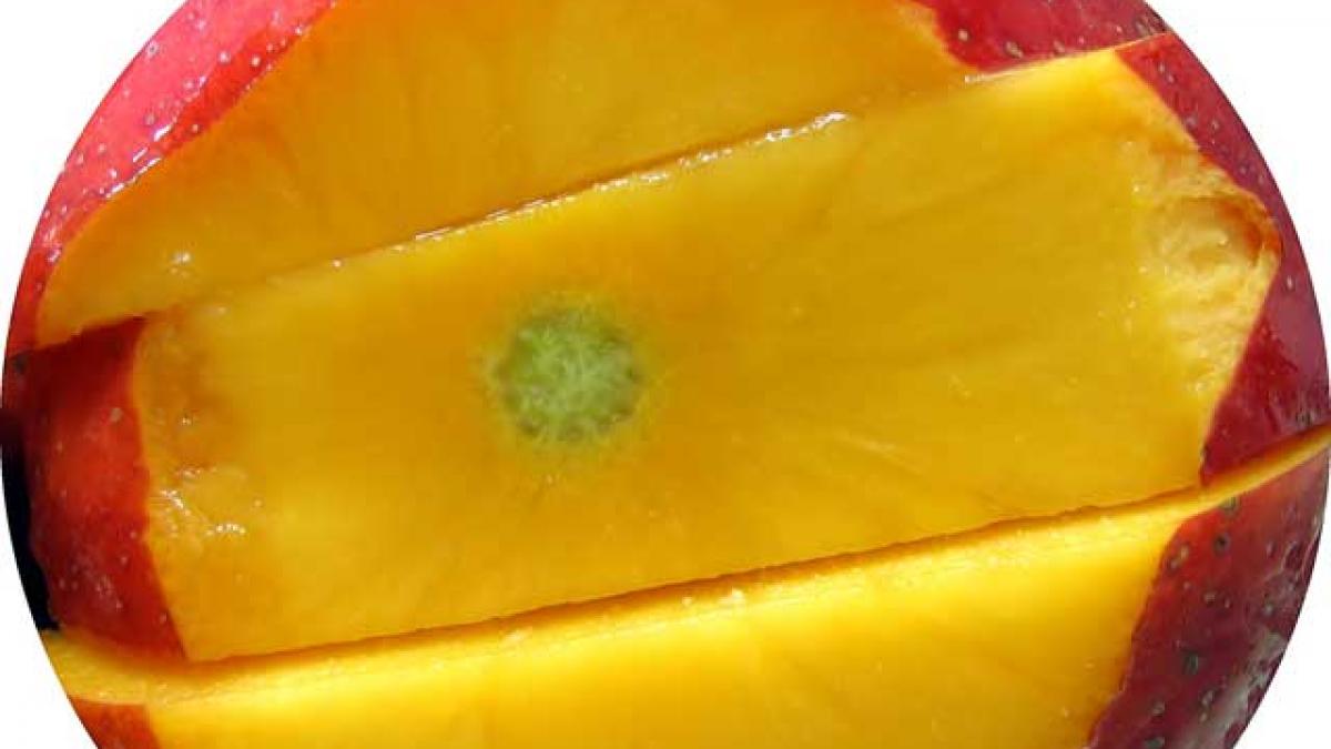 Mango, exotism