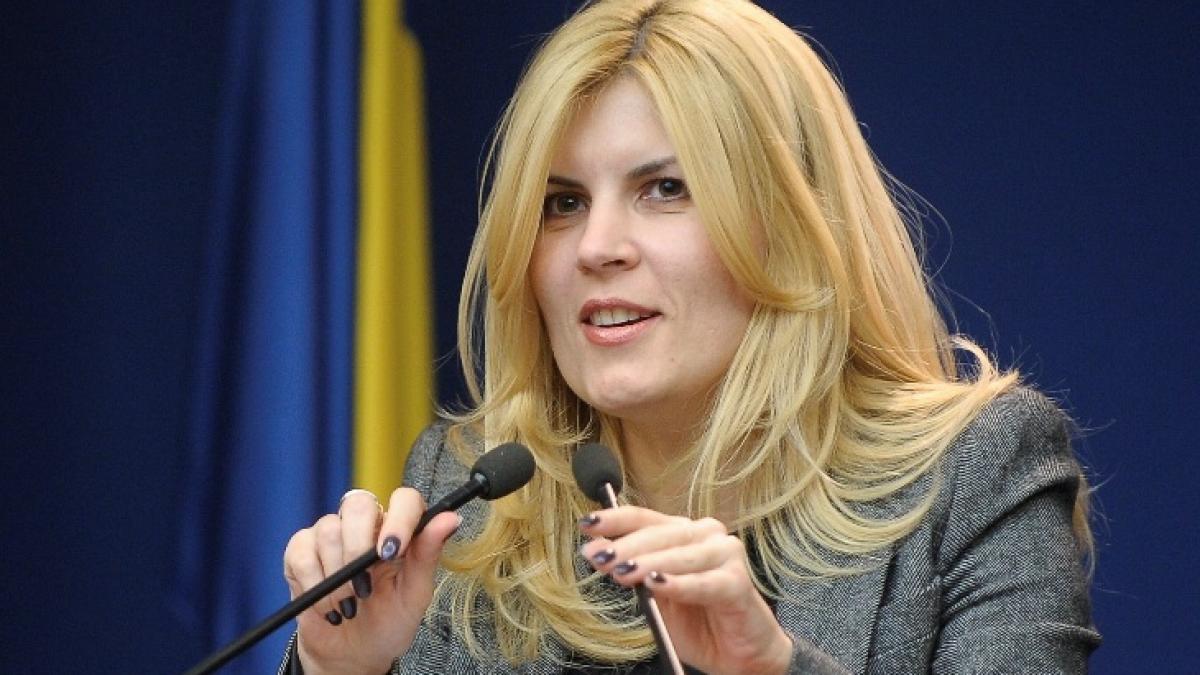 Udrea: PDL nu va mai avea lideri providenţiali ca Traian Băsescu