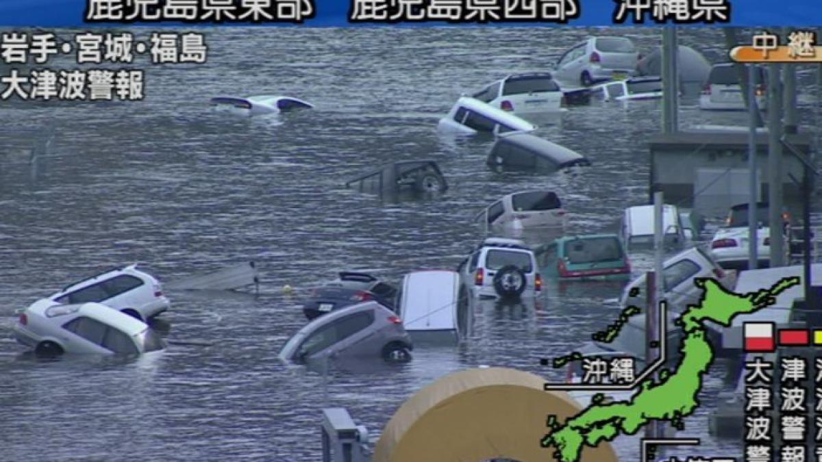Cutremur cu magnitudinea 8,9 în Japonia - imagini din timpul seismului