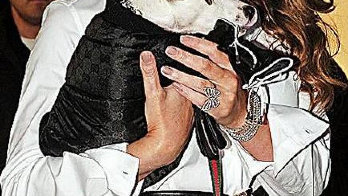 Mariah Carey, cu patrupedele la psiholog
