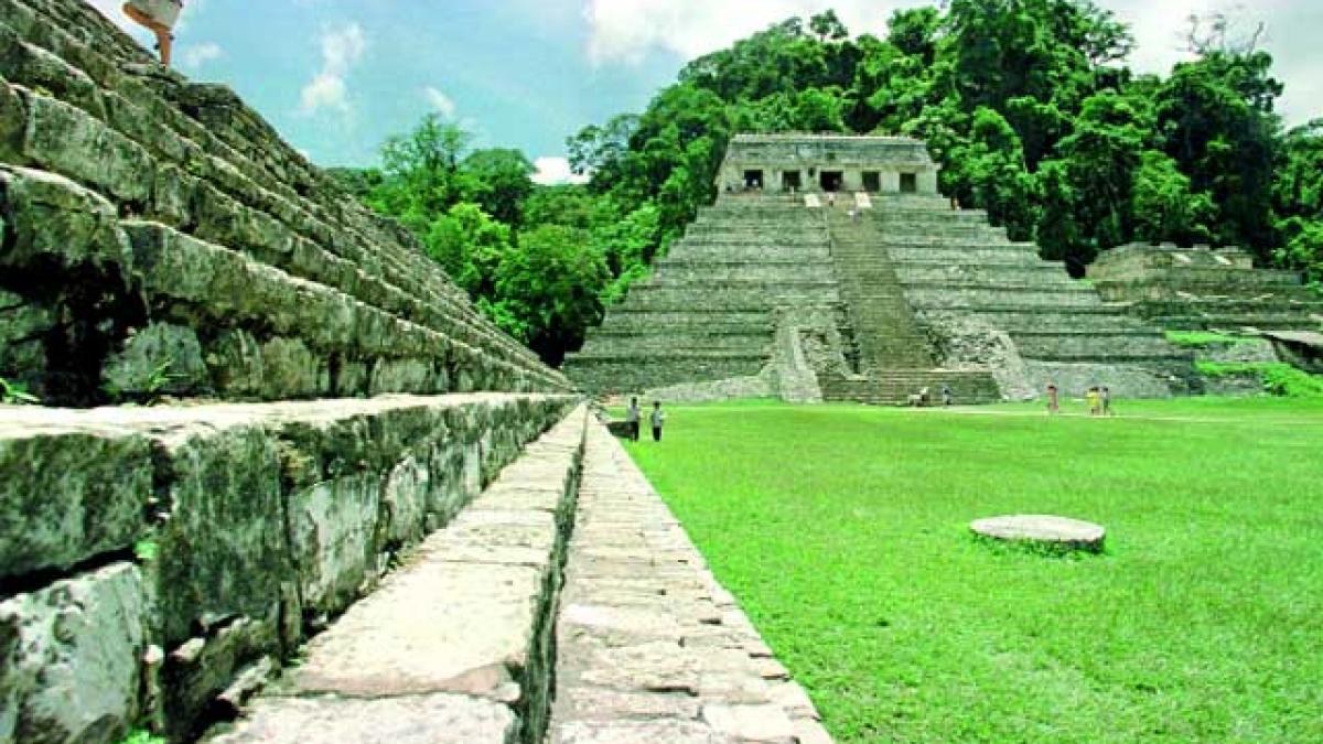 Maya regii
