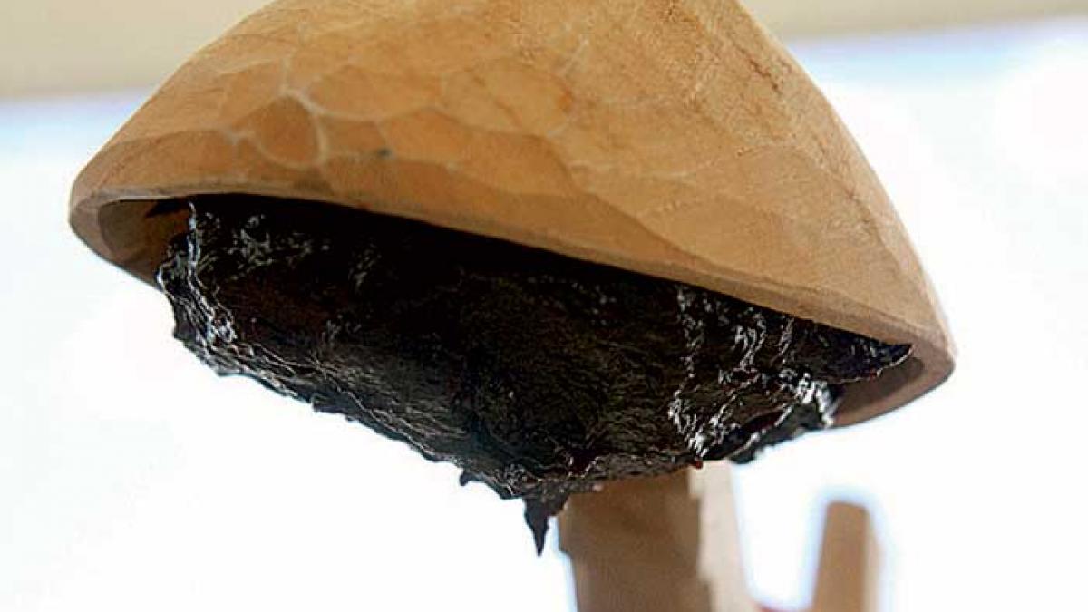 Festin românesc