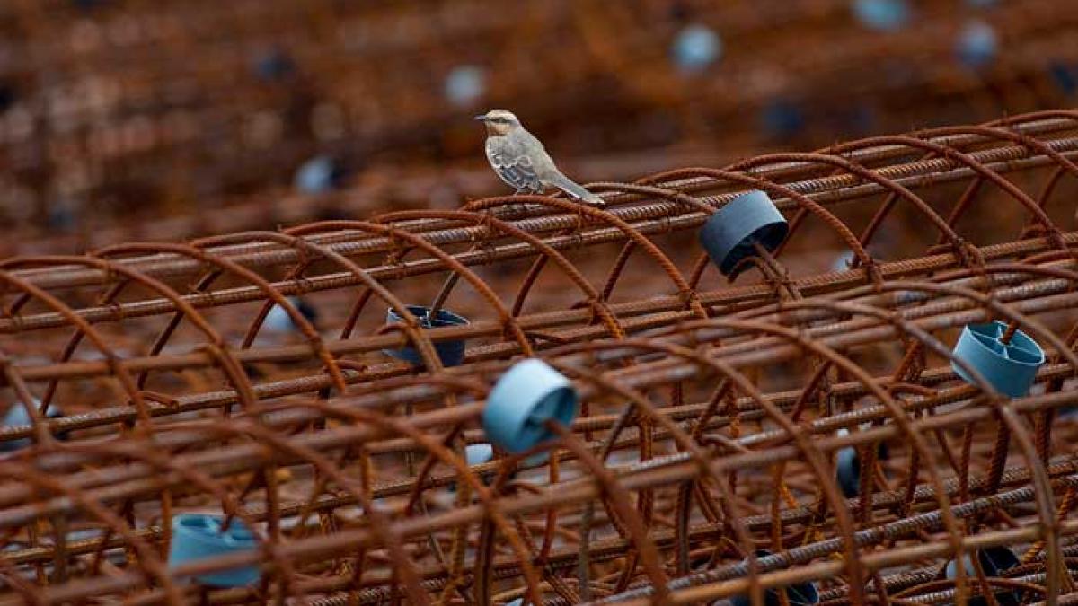 Ghid: cum să goneşti investitorii cu taxele de construcţii şi birocraţia